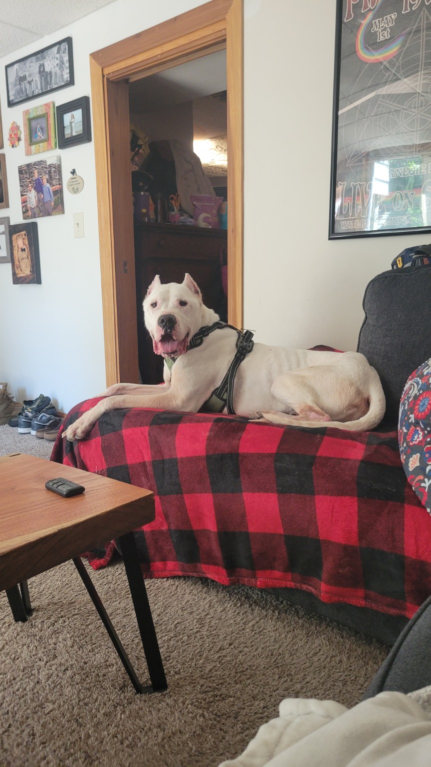Max